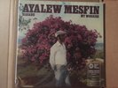 Ayalew Mesfin, Hasabe - My Worries Vinyl Me Please New 180g