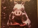 Primus - Pork Soda - 2009 Vinyl LP