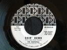 Waphphle, Elektra 45616, Goin' Down & I Want You, Good garage