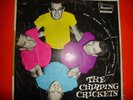 Buddy Holly And The Crickets LP 