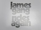 James Gang Rides Again Mobile Fidelity 180g Vinyl LP