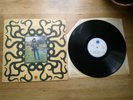 rick hayward very rare orig 1971 blue horizon lp record