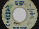 Northern/Deep Soul 45 - Kenny Hamber - Anything You Want - Arctic - mp3