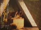 Kate Bush / Lionheart