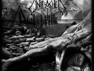 Odalheim [VINYL] Unleashed Vinyl