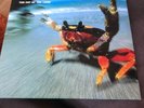 prodigy fat of the land vinyl