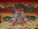 Incubus vinyl lp record serpent temptation