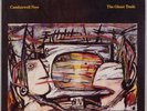 CAMBERWELL NOW: The Ghost Trade REVIEW Switzerland Electronic Avantgarde LP NM