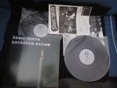 Sonic Youth Daydream Nation Japan Vinyl LP Signed w Poster Promo Flyer Thurston