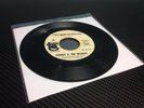 Sherry & The Inverts- I Was Made to Love You Promo Vinyl Record *Free Shipping*