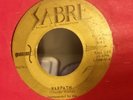 Thunder Rocks - Warpath & Restless rare detroit garage surf rock rockabilly 45