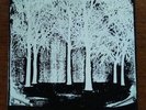 THE ICONOCLAST -7