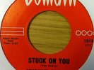 Yvonne Caroll And The Roulettes Gee What A Guy/Stuck On You 7