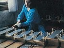 `SCHMIDT, DANIEL`-IN MY ARMS MANY FLOWERS VINYL LP NEW