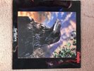 The Stranglers ?– 'The Raven' 12