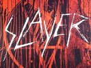 SLAYER - The Vinyl Conflict - Vinyl (11xLP)