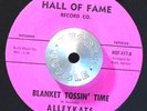 GARAGE SURF 45 - THE ALLEYKATS - BLANKET TOSSIN' TIME /HE TROLL SONG M- HEAR