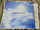 Steve Quarella - Book of Love LP w/insert private press xian folk (RPC)