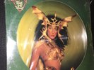 CHER Take Me Home Rare 1979 9-track vinyl PICTURE DISC LP die-cut picture sleeve