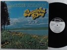 JACKIE WILSON Beautiful Day BRUNSWICK LP VG++/NM wlp