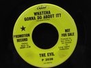 The Evil-Whatcha Gonna Do About It?-Capitol 2038-PROMO FUZZ GARAGE RARE