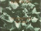KATE BUSH - The Single File 1978-1983 / Rare 1984 7 inch Vinyl BOX SET NR MINT