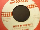 Joey & Danny-Rats in my Room Part 1 & 2 45 rare original 1963 Buffalo NY garage