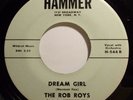 Doo-wop 45 - Rob Roys - Dream Girl - Mint- 