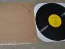 Arian Sample rare private outsider loner psych folk LP Robyn Nice 2007 shrink