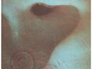 PINK FLOYD Meddle LP VINYL UK Harvest 1971 6 Track Textured Gatefold Sleeve