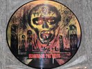 Slayer - Seasons In The Abyss Pic LP Picture Disc Vinyl Record Rare Thrash Excel