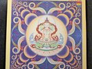 Terry Riley - Shri Camel LP Mint 1980 USA Vinyl Record HTF in mint condition