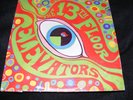 1966 Acid ORIGINAL LP The Psychedelic Sound the 13th Floor Elevators THIRTEENTH