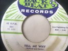 Original Doo-Wop 45/ Norman Fox & Rob Roys 