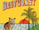 BEST COAST-CRAZY FOR YOU (Importación USA) VINYL LP NUEVO