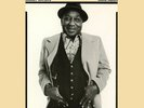 Muddy Waters - Hard Again