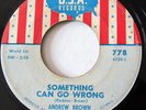 ANDREW BROWN-SOMETHING CAN GO WRONG ON USA NORTHERN 45-HEAR