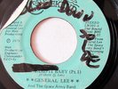 GENERAL LEE-WE DID IT BABY ON LOST WEEKEND 70'S SOUL 45-VG+, HEAR
