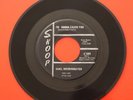 SANZ, INCORPORATED · I'M GONNA LEAVE YOU · MY BABY'S EYES · rare Garage 45