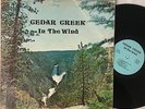 CEDAR CREEK In The Wind LP RARE PRIVATE NORTH CAROLINA RURAL PSYCH FOLK ROCK