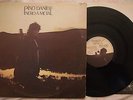 PINO DANIELE - NERO A META' - ANNO 1980 - EMI 3C  064 18468 - 1° Stampa italiana
