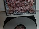 Unleashed Victory Grey Vinyl Record LP new