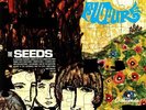 SEEDS, The - Future - Vinyl (heavyweight vinyl LP)
