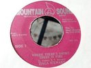 {MOUNTAIN SOUND} TINGA STEWART  WHERE THERE'S SMOKE// 45   //7'' Listen / VG