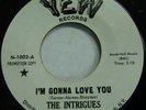 THE INTRIGUES 45 I'm Gonna Love You on YEW Northern Soul Mint Minus PROMO  #626
