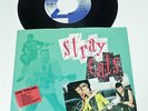 STRAY CATS 