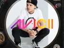 Avicii - Levels  12