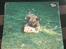 Joyce Manor 
