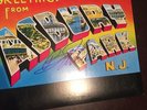 bruce springsteen LP album SIGNED COA