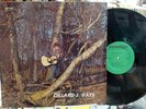 DILLARD J HAYS Self Titled VINYL LP Folk PRIVATE Country OUTSIDER Rural ALABAMA